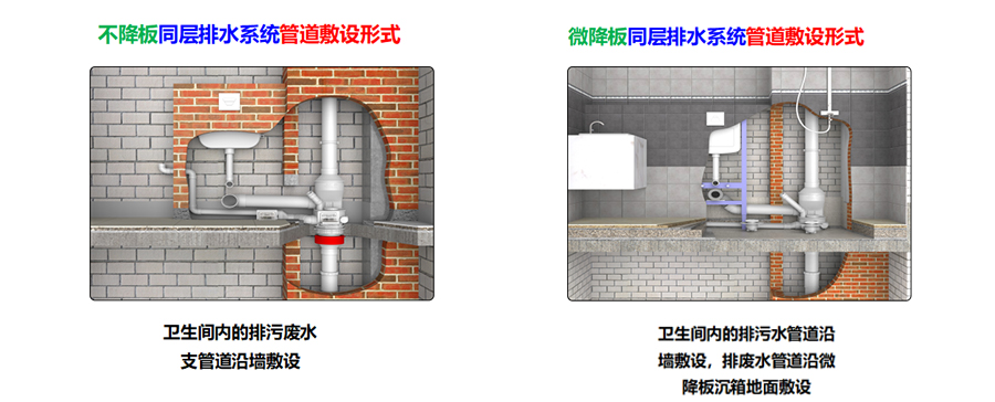 墙排式不降板同层排水系统
